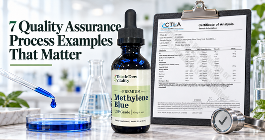 7 Quality Assurance Process Examples That Matter